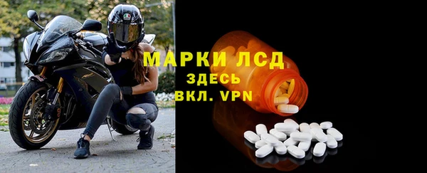 прущие грибы Каменск-Шахтинский