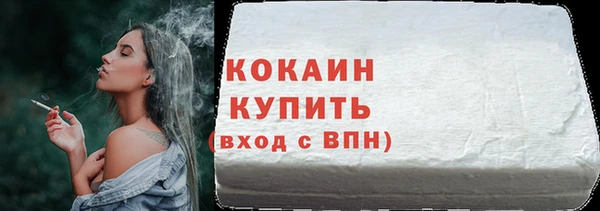 соль ск Каменка