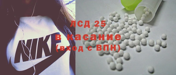 прущие грибы Каменск-Шахтинский