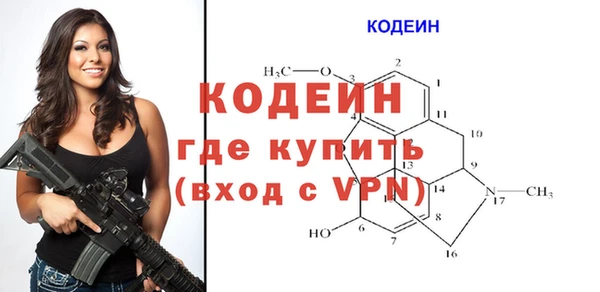 прущие грибы Каменск-Шахтинский