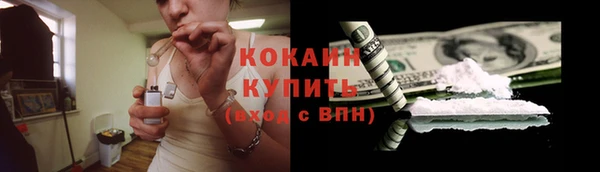 соль ск Каменка