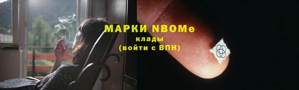 прущие грибы Каменск-Шахтинский
