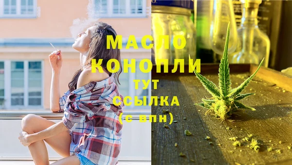 соль ск Каменка