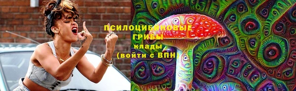 соль ск Каменка