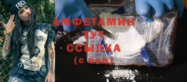 прущие грибы Каменск-Шахтинский
