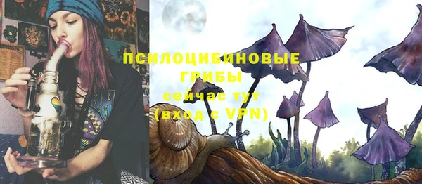кокс Каменногорск