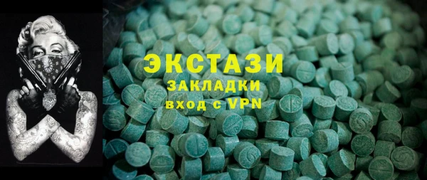 соль ск Каменка