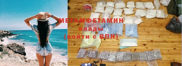 прущие грибы Каменск-Шахтинский