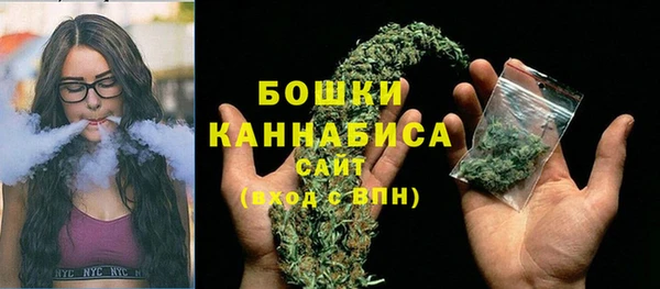 соль ск Каменка