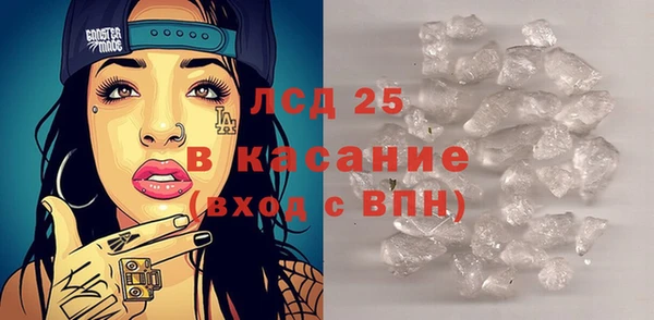 прущие грибы Каменск-Шахтинский