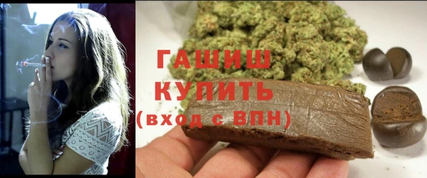 соль ск Каменка
