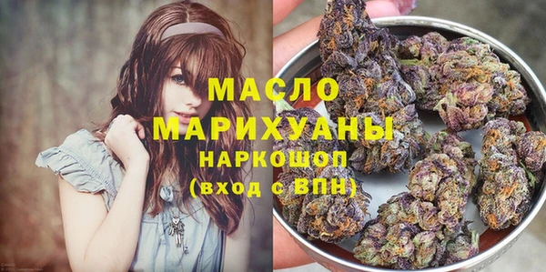 соль ск Каменка