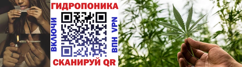 Марихуана сатива  Купить где  Богданович 